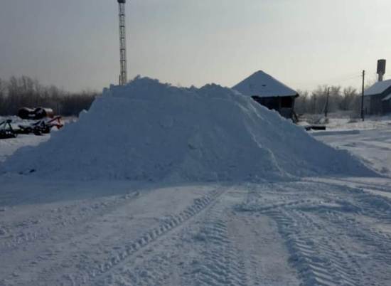 Волгоградские лесничества заготовили 50 тонн снега